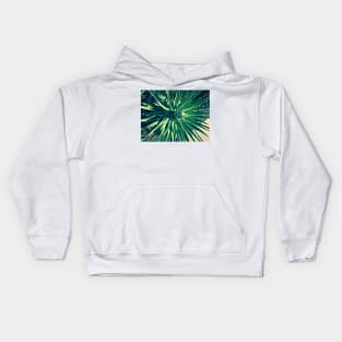 Phoenix AZ Country Club Park  1b Kids Hoodie